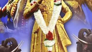 Naidu Nayakar mass song