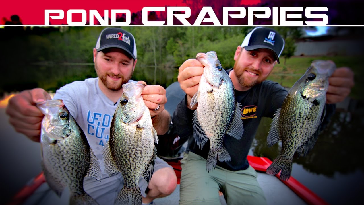 How to Catch More and Bigger Crappie in Ponds 