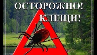 Ооо ужас!!! Нас атаковали клещи!!! Средства защиты от паразитов!!! Ооо ужас!!! Нас атаковали клещи!!! Средства защиты от паразитов!!!