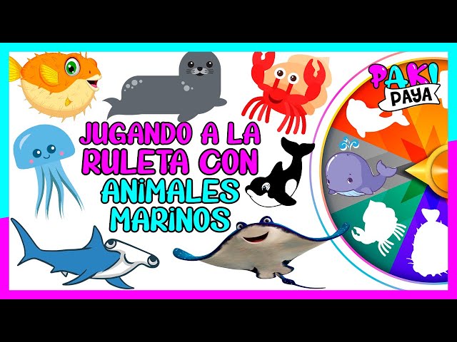 LOS ANIMALES POLARES! - ANIMALES DEL ÁRTICO - POLAR ANIMALS 🐧🐋/ Video  educativo / ホッキョクグマ 