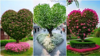 Heart & Bloom Nature's Beauty