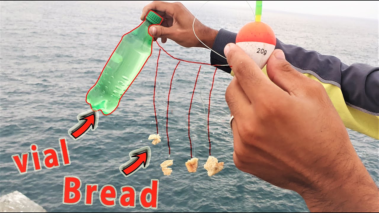 How To Catch Monster Mullet - 2 Best Method For Catching Mullet With Bait  The Bread 