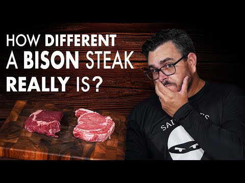 How DIFFERENT is a BISON RIBEYE from a BEEF STEAK | Salty Tales