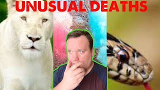 Animal Attacks and Unusual Deaths! TikTok Compilation from makingatruecrimerer