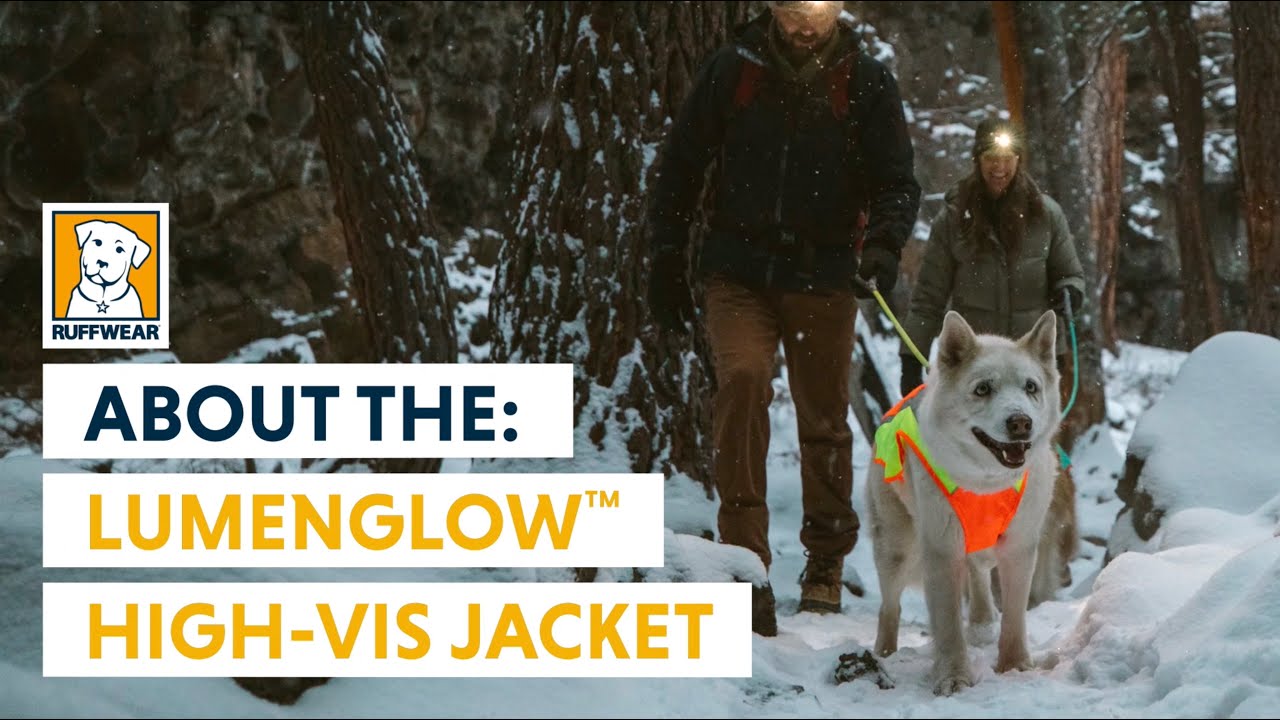 Lumenglow™ High-Vis Hundejacke, Reflektierend Weste