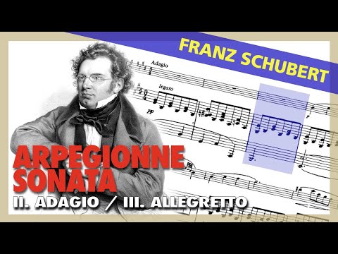 🎼F. SCHUBERT -Arpeggione Sonata - II. Adagio / III. Allegretto