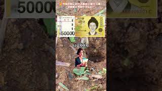 487.“박물관에도 없던 조폐공사 폐기 지폐, 경매에서 폭등한 이유는?”Shorts