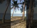 #healingsounds #beach  Tropical Skies  #peacefulwaves #god #nature #waves #guam