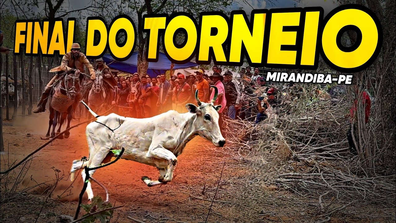 VAQUEIROS DA REGIÃO, DISPUTARAM 75 CARREIRAS.