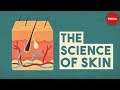 The science of skin - Emma Bryce image