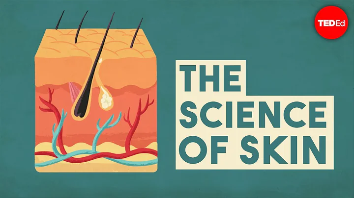 The science of skin - Emma Bryce - DayDayNews