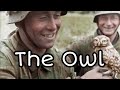 The owl  british army song
