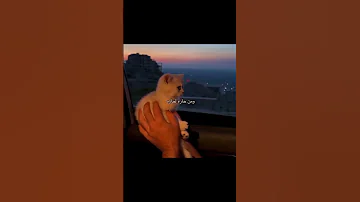 طب شو رأيك نعمل فتلة بدون موسيقى 