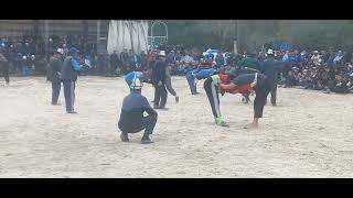 картинка: 12.10.2024...Лейлек күрөшү.Чимген айылы