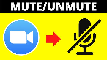 How Mute/Unmute Audio In A Zoom Meeting