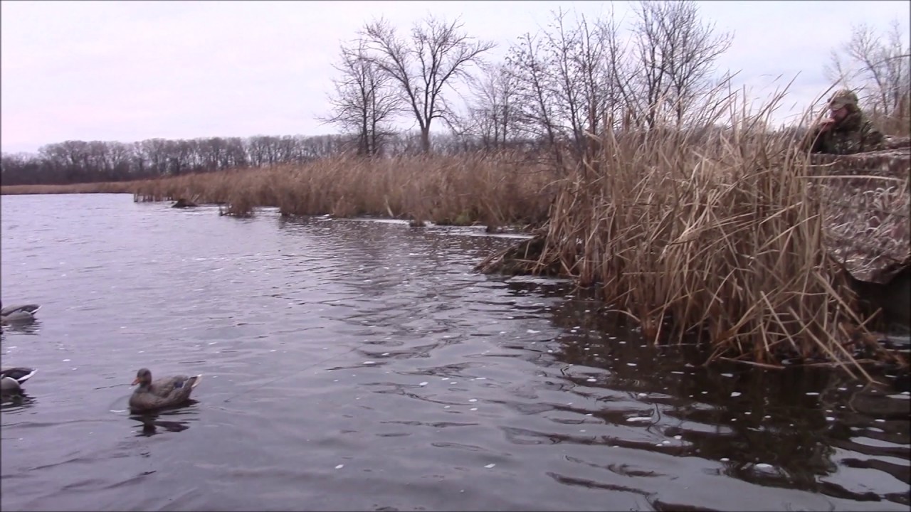 Duck hunting Upper Mud Lake Dane County, Wisconsin 12/16 YouTube