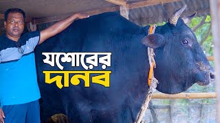 এবার আওয়ামীলীগের সভাপতির হাতে তৈরি যশোরের দানব।  দাম সহ বিস্তারিত জানুন