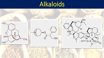 Part 1: Alkaloids intro and classification