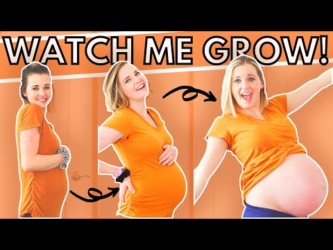 WEEK BY WEEK PREGNANCY BELLY PROGRESSION | Every Week of My Pregnant Belly!