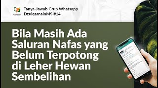 Bila Masih Ada Saluran Nafas yang Belum Terpotong di Leher Hewan Sembelihan