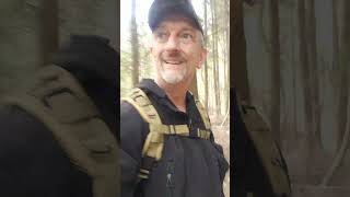 Strange noises in the woods!