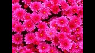 Nikah (1998) - Tere Bin Zindagi - Waris Baig Shazia Manzoor