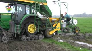 Wireco - Tulpenbollen Planten