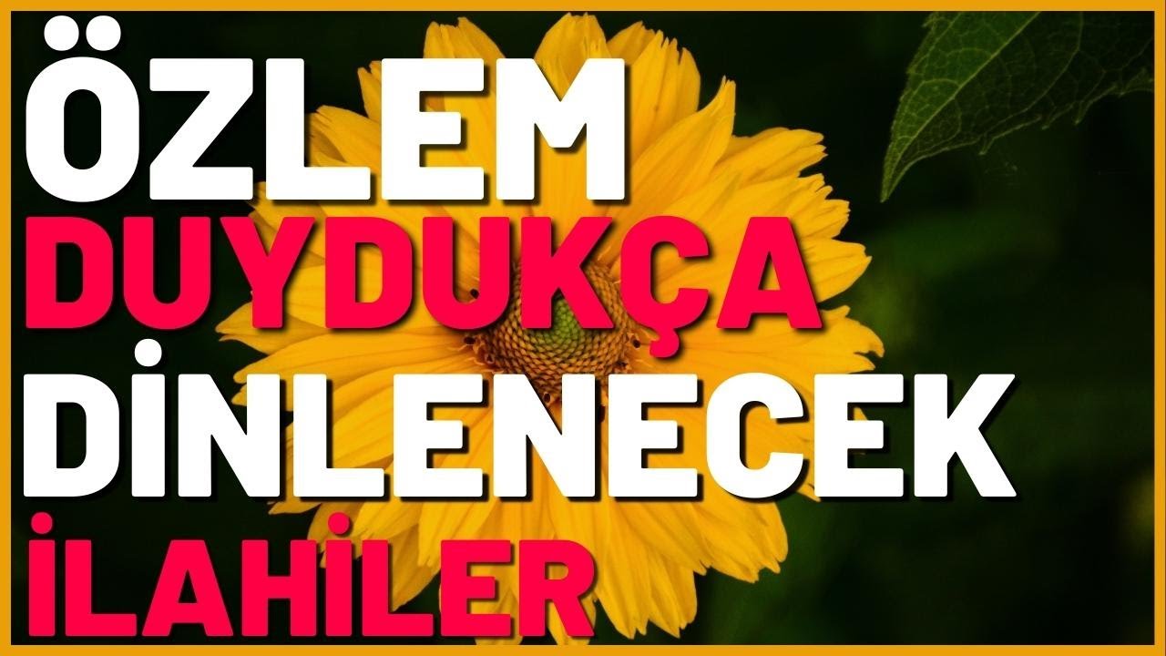 ÖZLEM DUYDUKÇA DİNLENECEK İLAHİLER | HARİKA İLAHİLER