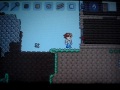  Terraria.    PSP