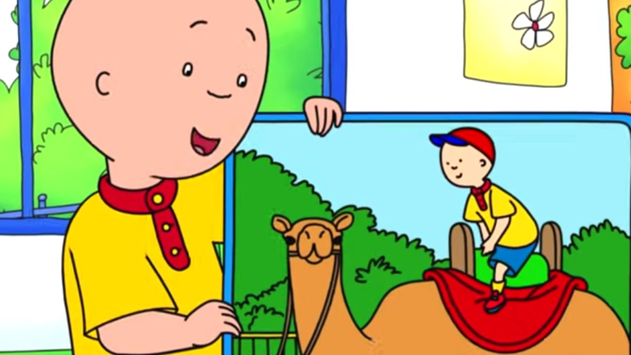 كايو و ركوب الجمل | كايو بالعربية