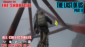 The Last of Us Part 2: Chap 33 / The Shortcut (All Collectibles) - HTG