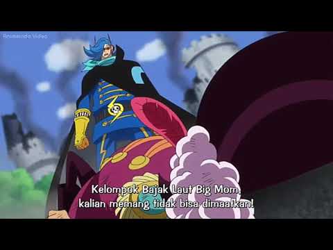 Video One Piece 844