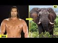 15 WWE WRESTLERS vs ANIMALS Associate 2018 P.2 [HD]