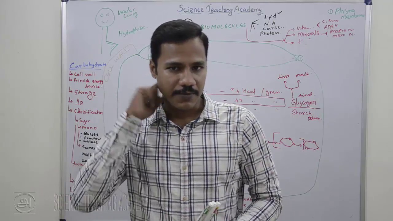 Biomolecules 06 Carbohydrates Classification in Tamil YouTube