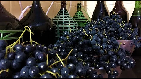 Como se faz vinho tinto seco?