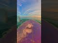 surfer's dream