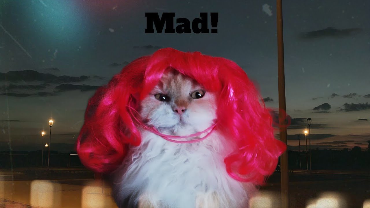 قصة حب مع فتاة أكبر مني.!!