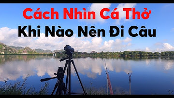 Cách Nhìn Cá Thở Ngoài Hồ - Khi Nào Thì Nên Đi Câu | Huân DQ