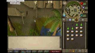 Runescape best combat training - monkey guards - Rolidboy