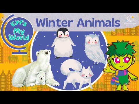 Winter Animals for Kindergarten | EYFS
