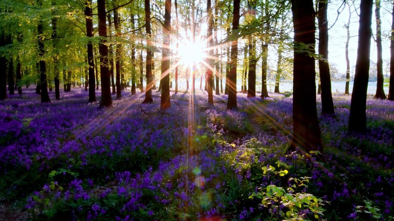 Резултат слика за слике медитације