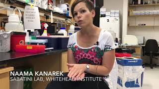 Whitehead Institute: Reducing the toxicity of the chemotherapy drug methotrexate