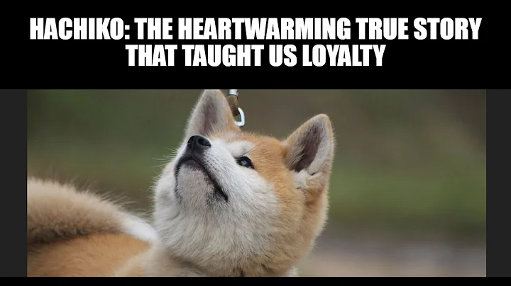 Hachiko: The Heartwarming True Story That Taught Us Loyalty