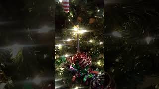 On December 12th of 2023, Walnut the Praying Mantis Climbs the Christmas Tree