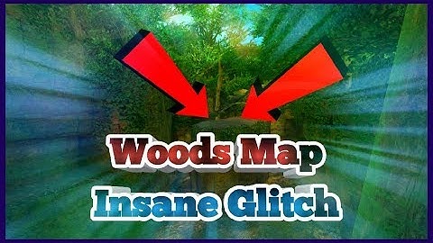 |Bullet Force| Woods Map | Insane Glitch |