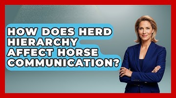 How Does Herd Hierarchy Affect Horse Communication? - The Horses Stable