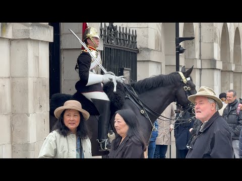 "Majestic Moments at Horse Guards: A Chilly London Morning to Remember!"