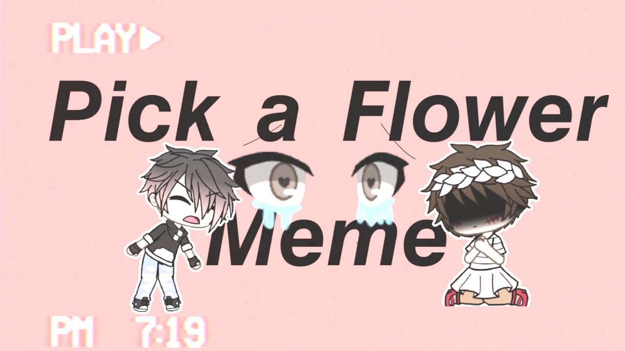 Pick a Flower Meme • Gacha Life YouTube