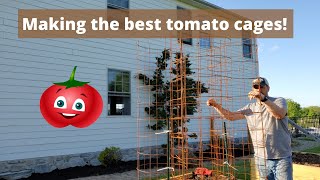 Making the best tomato cages - DIY
