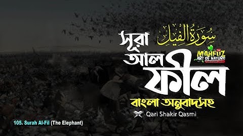 105) সূরা আল্‌ ফীল سورة الفيل surah Al Fil Chapter of the Elephant বাংলা অনুবাদ mahfuz art of nature